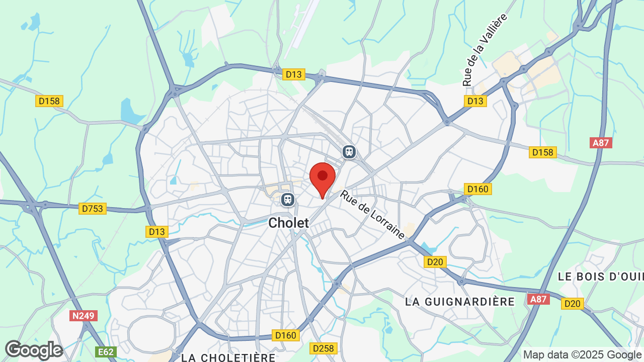 Google map
