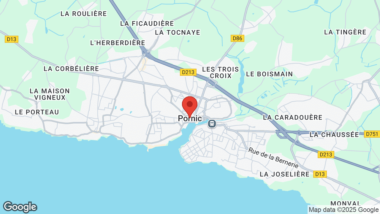 Google map