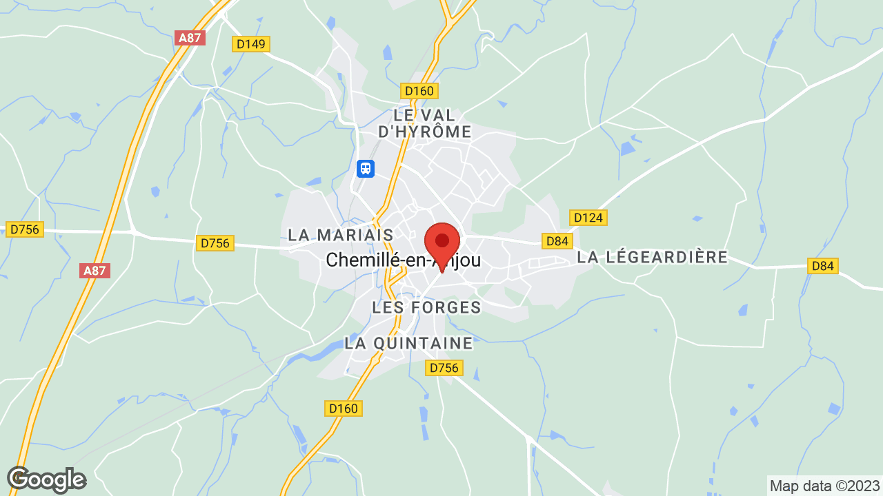 Google map
