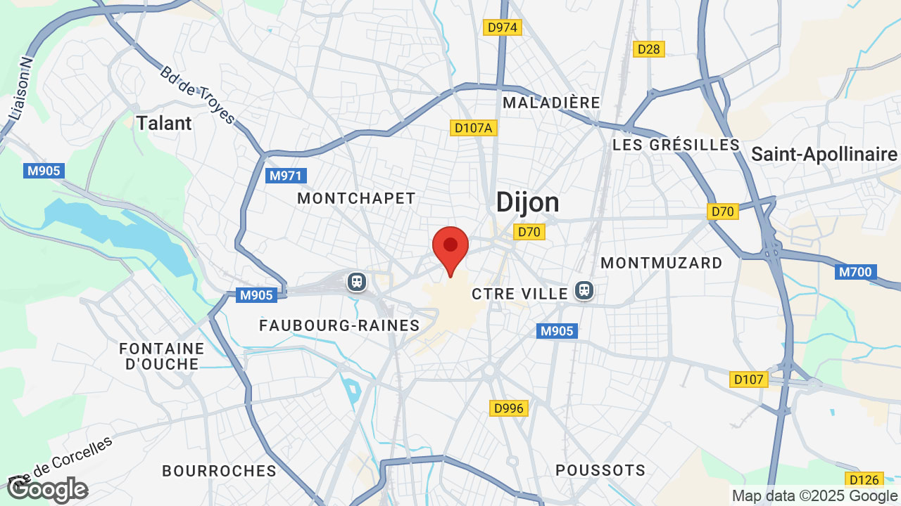 Google map