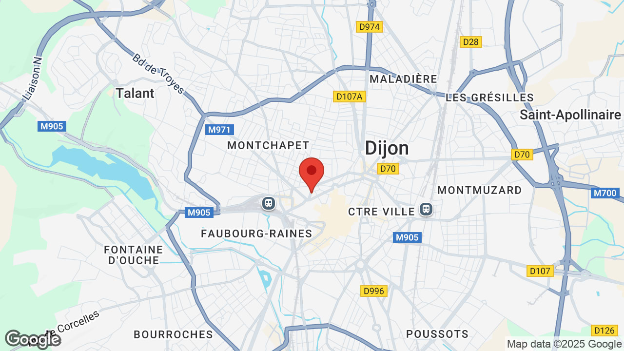 Google map