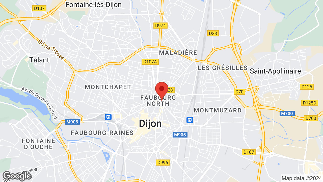 Google map