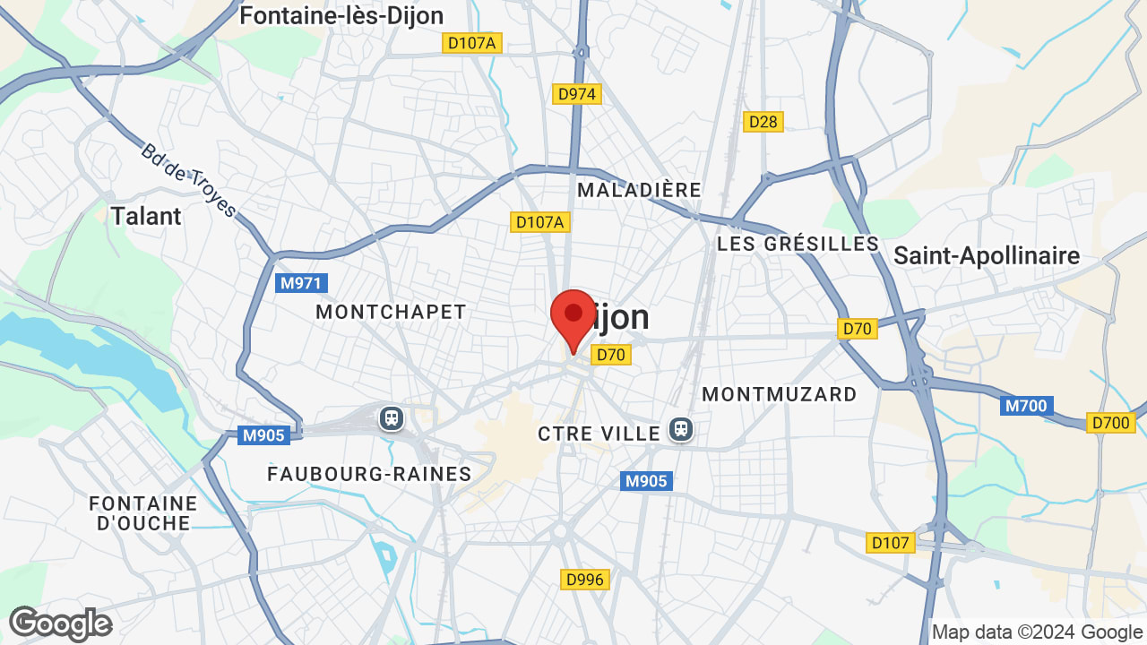 Google map