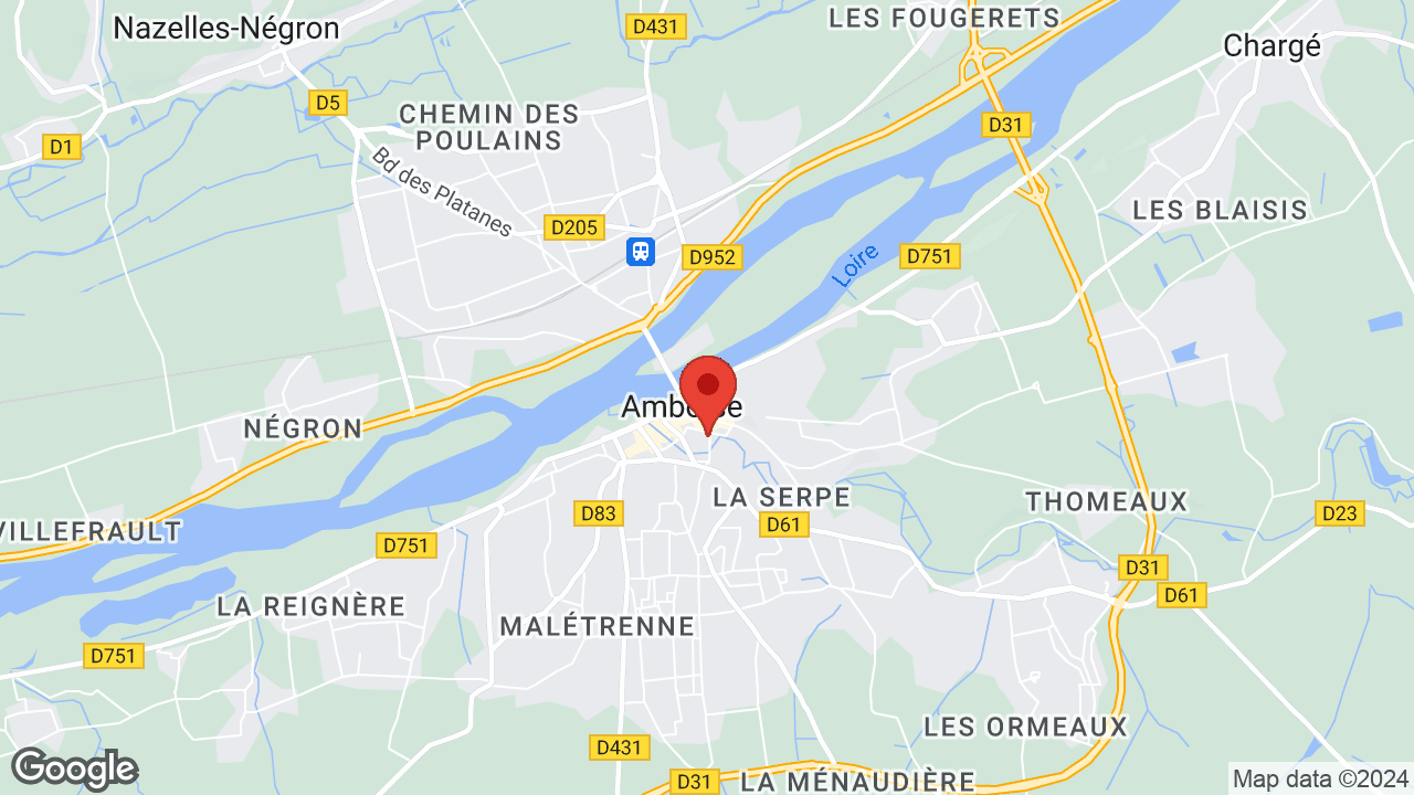 Google map