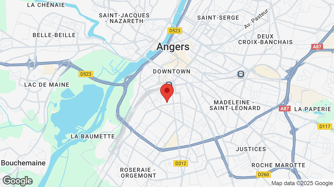 Google map