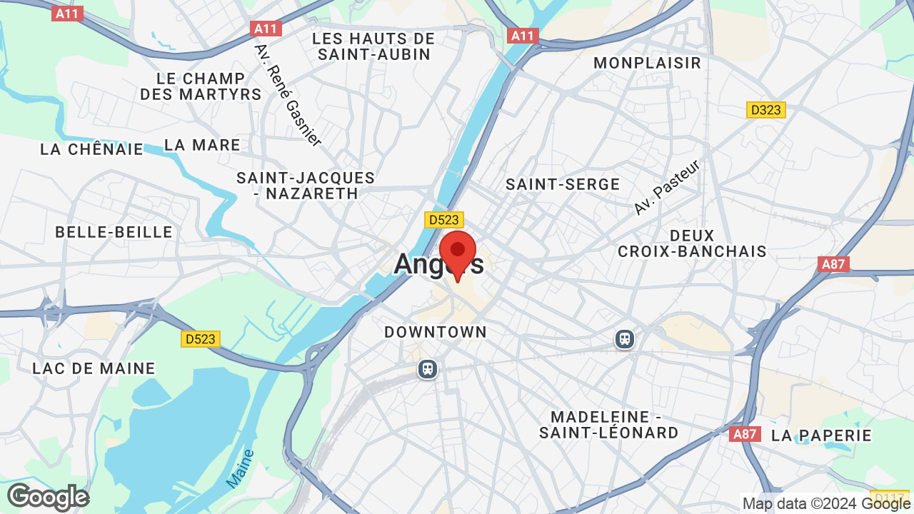 Google map