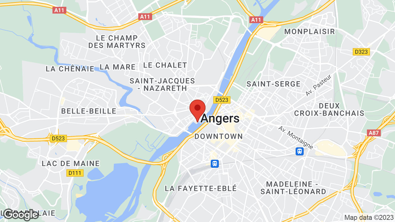 Google map