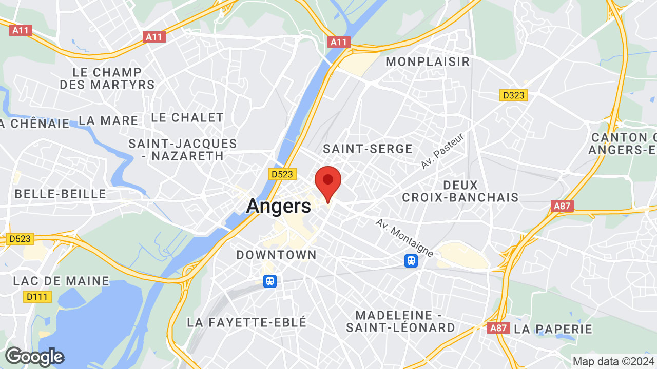 Google map