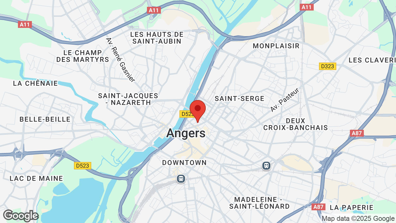 Google map