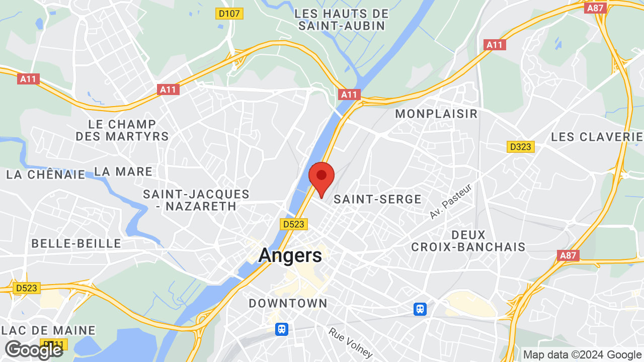 Google map