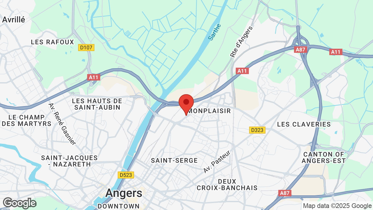 Google map