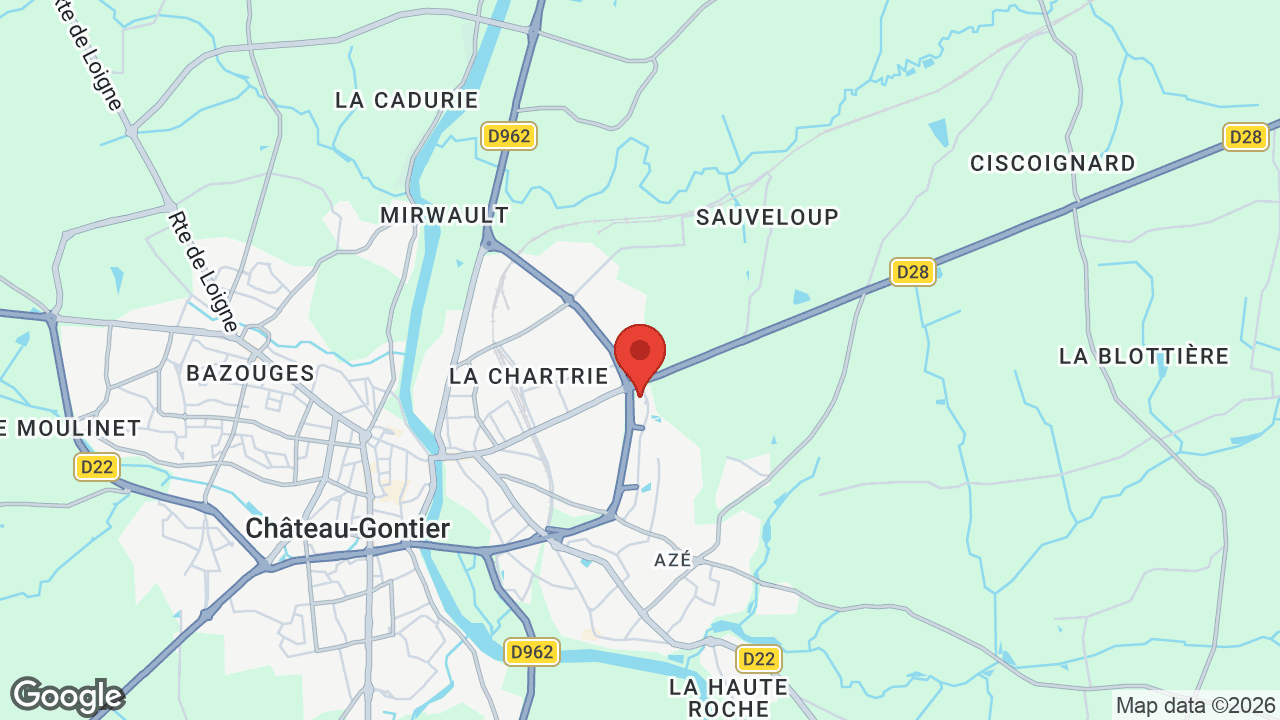 Google map