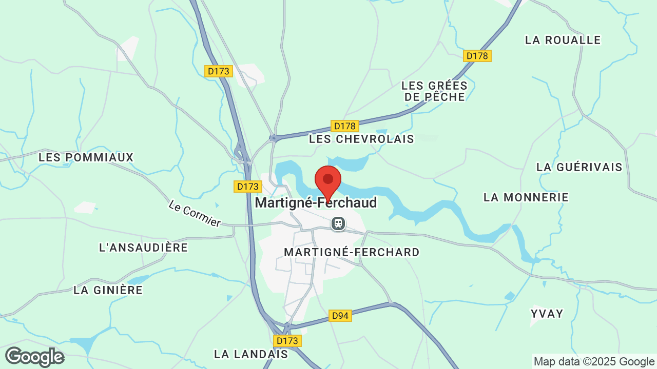 Google map
