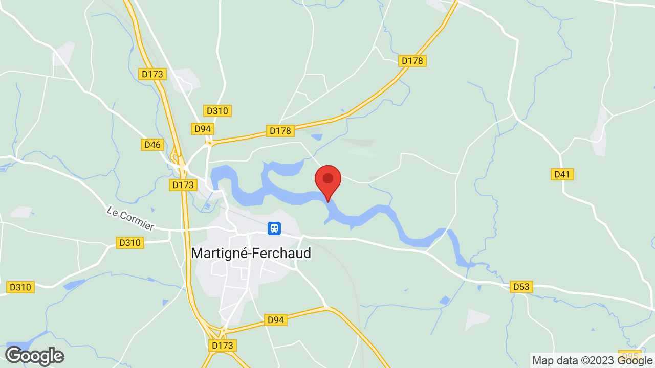 Google map