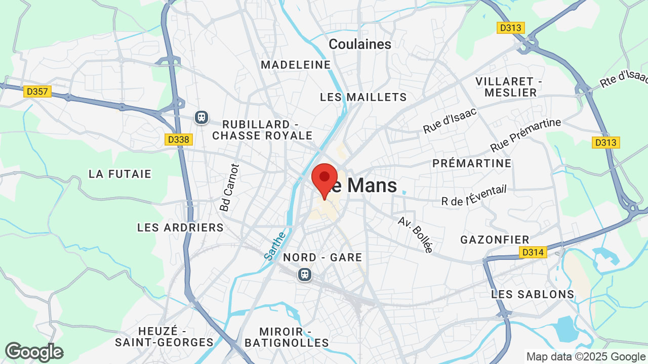 Google map