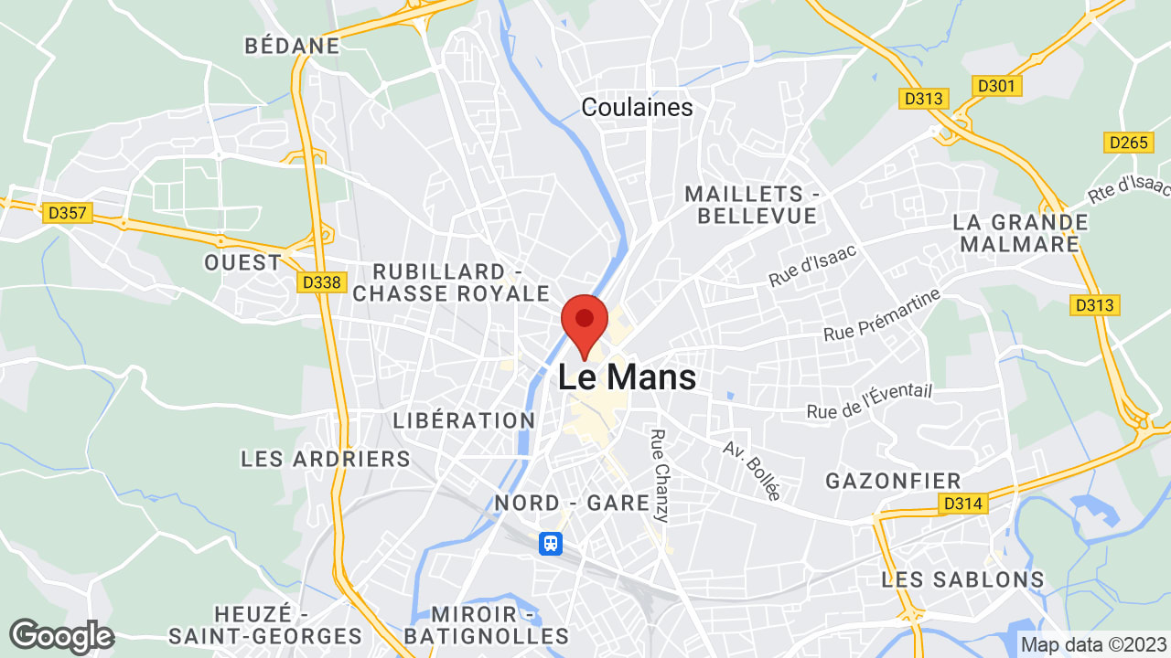 Google map