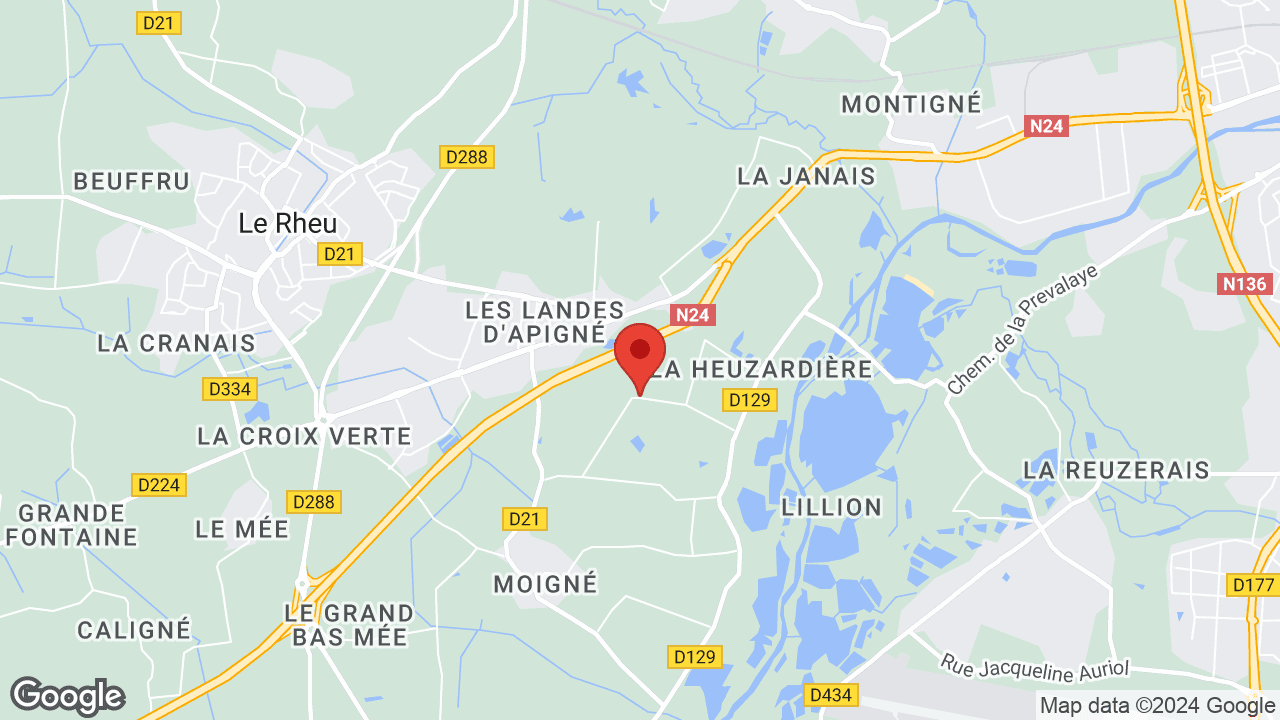 Google map