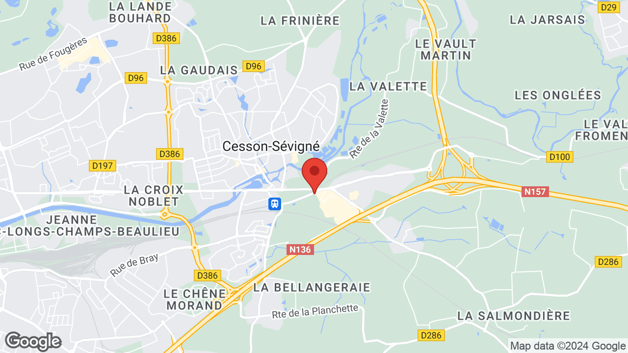 Google map