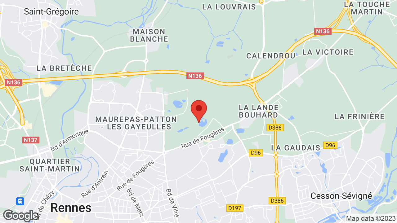 Google map