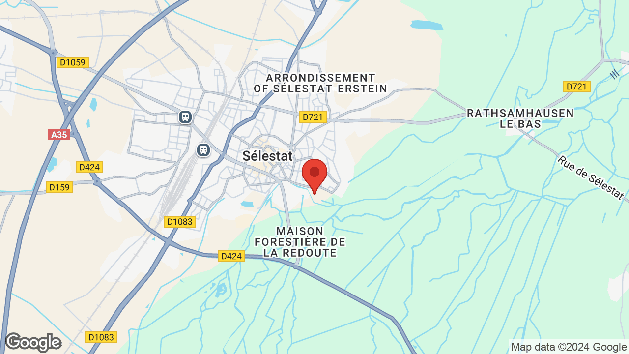 Google map
