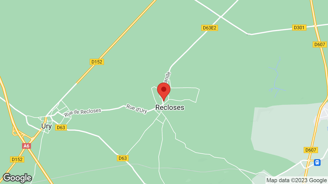 Google map