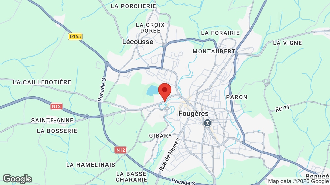 Google map