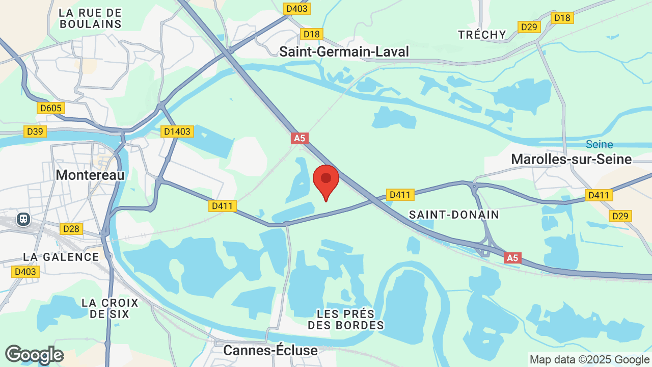 Google map