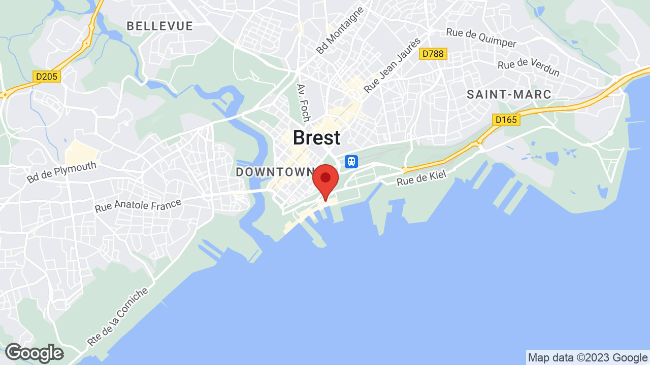Google map