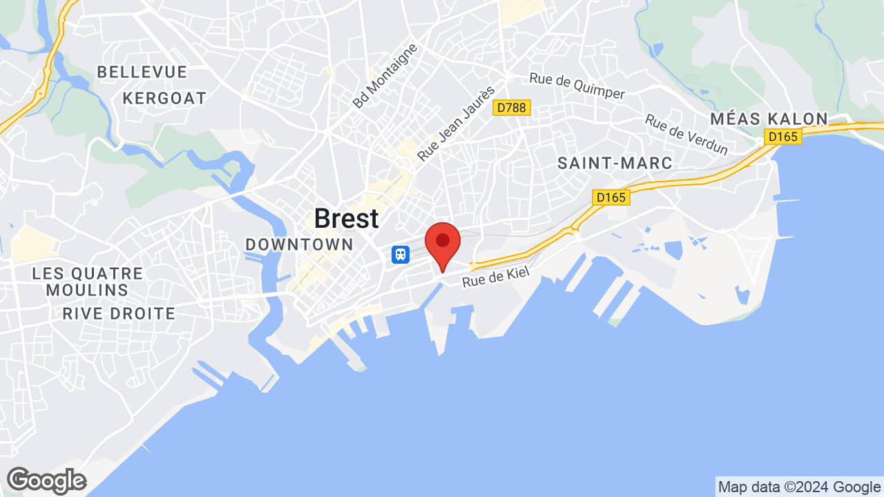 Google map