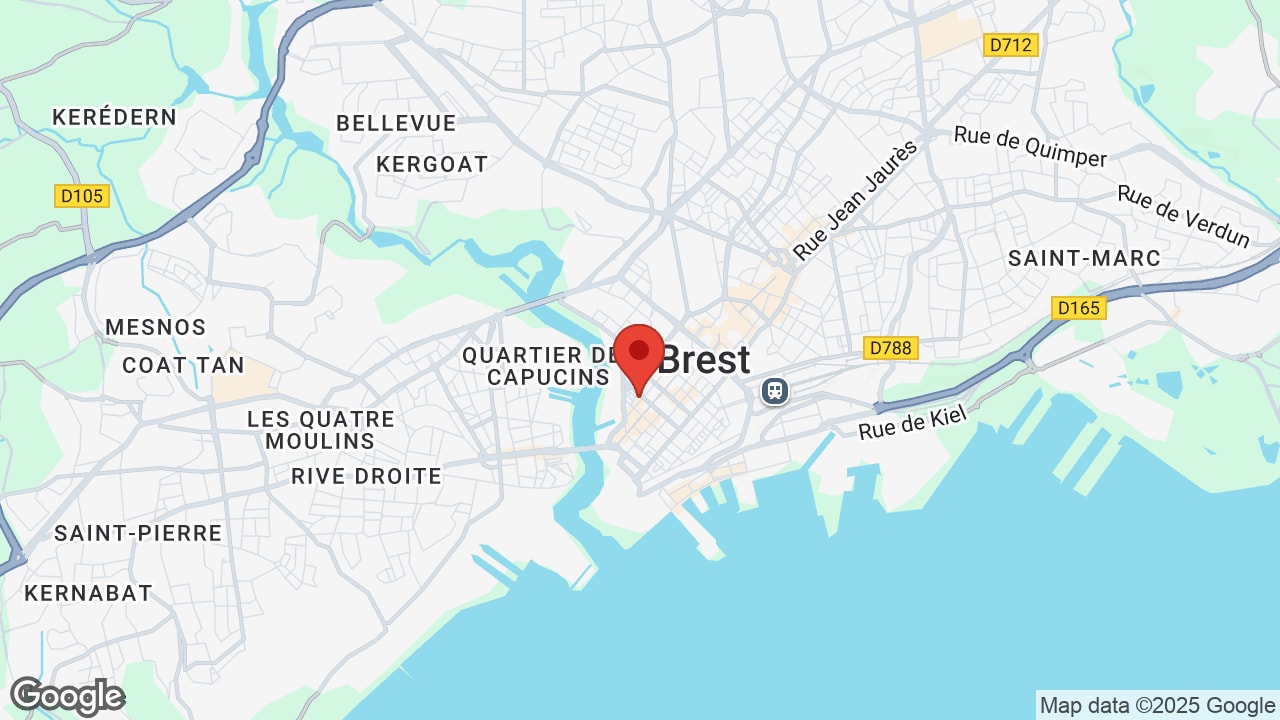 Google map