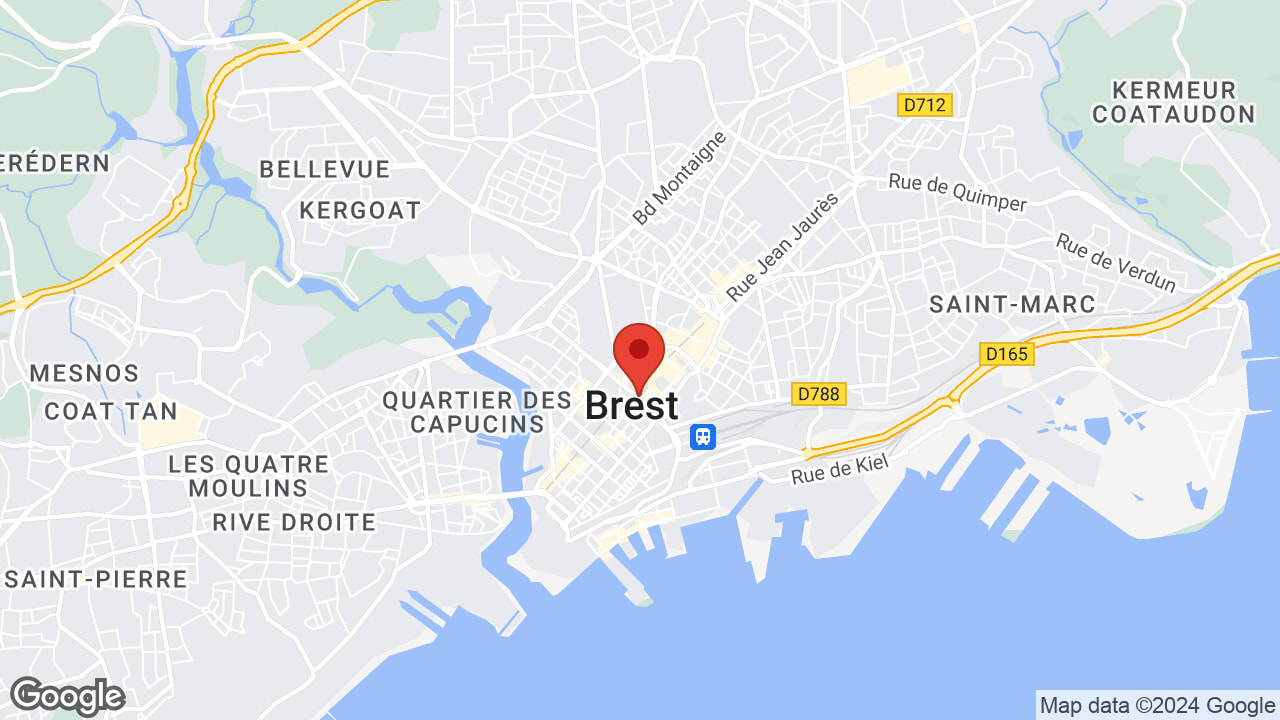 Google map