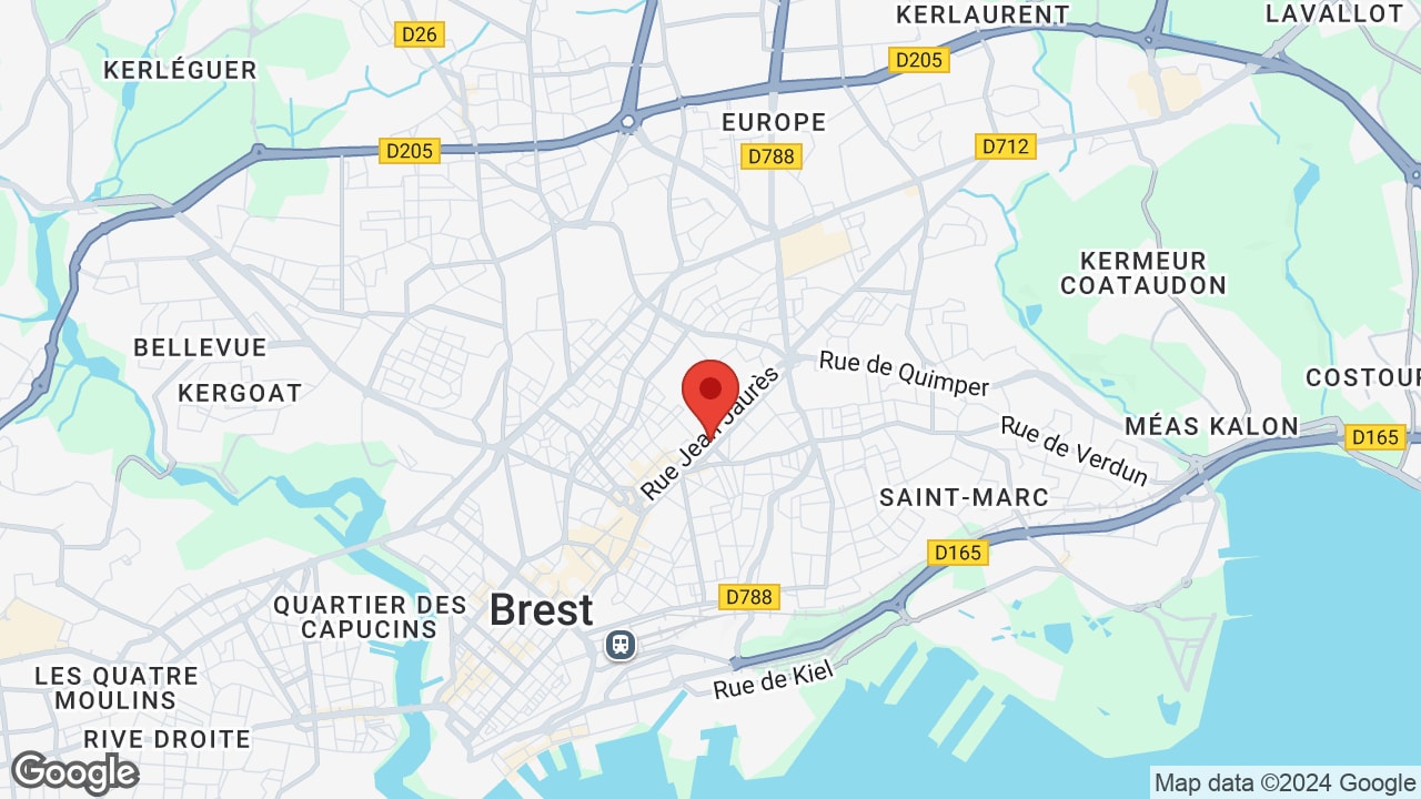 Google map