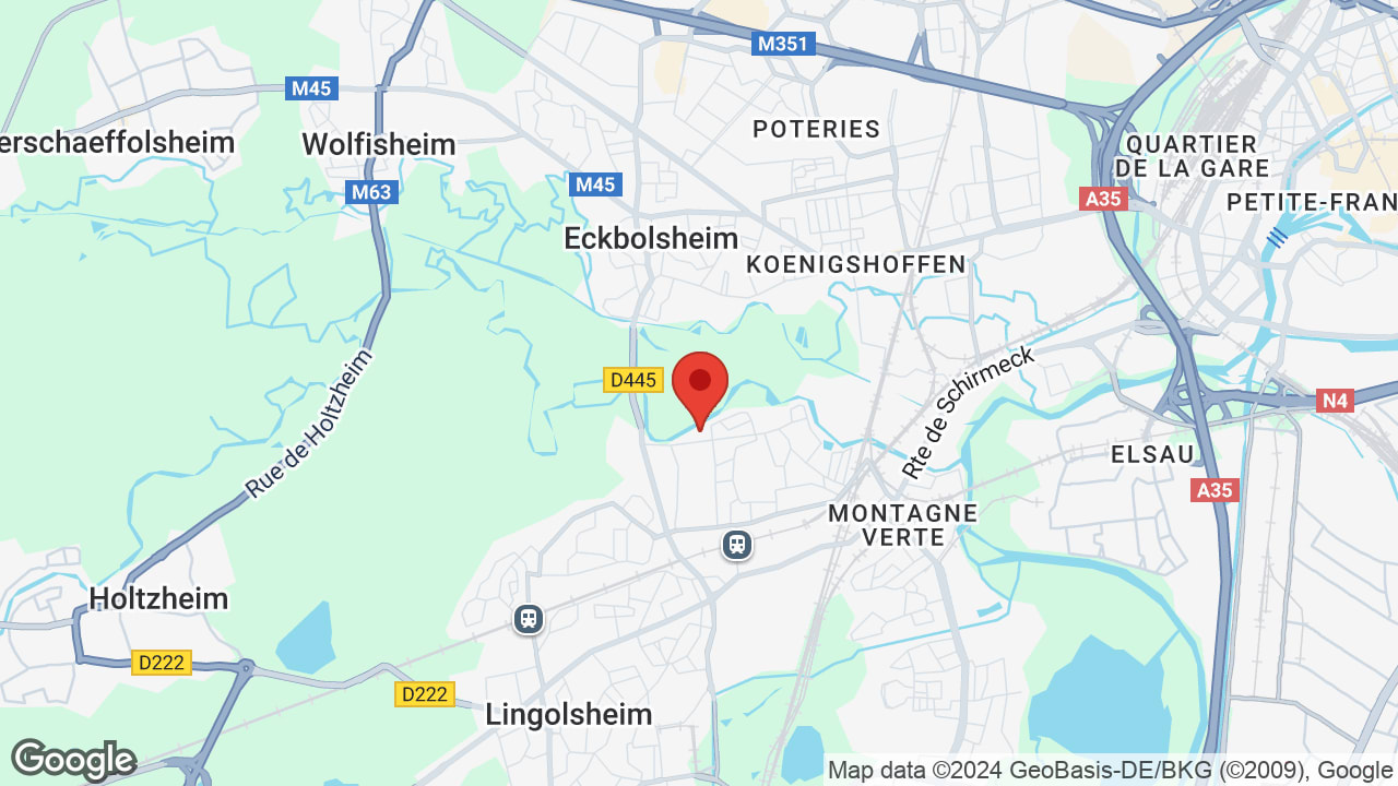 Google map