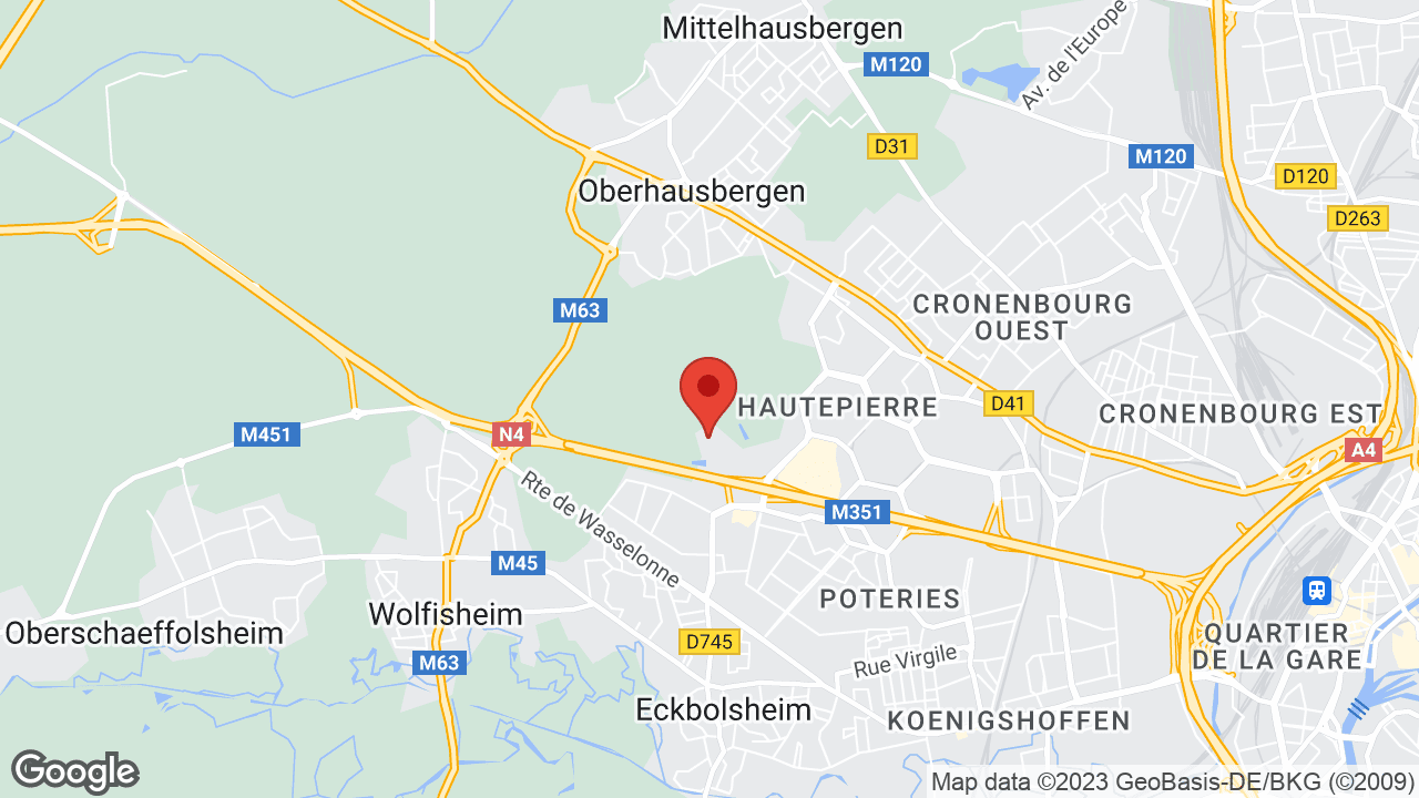 Google map