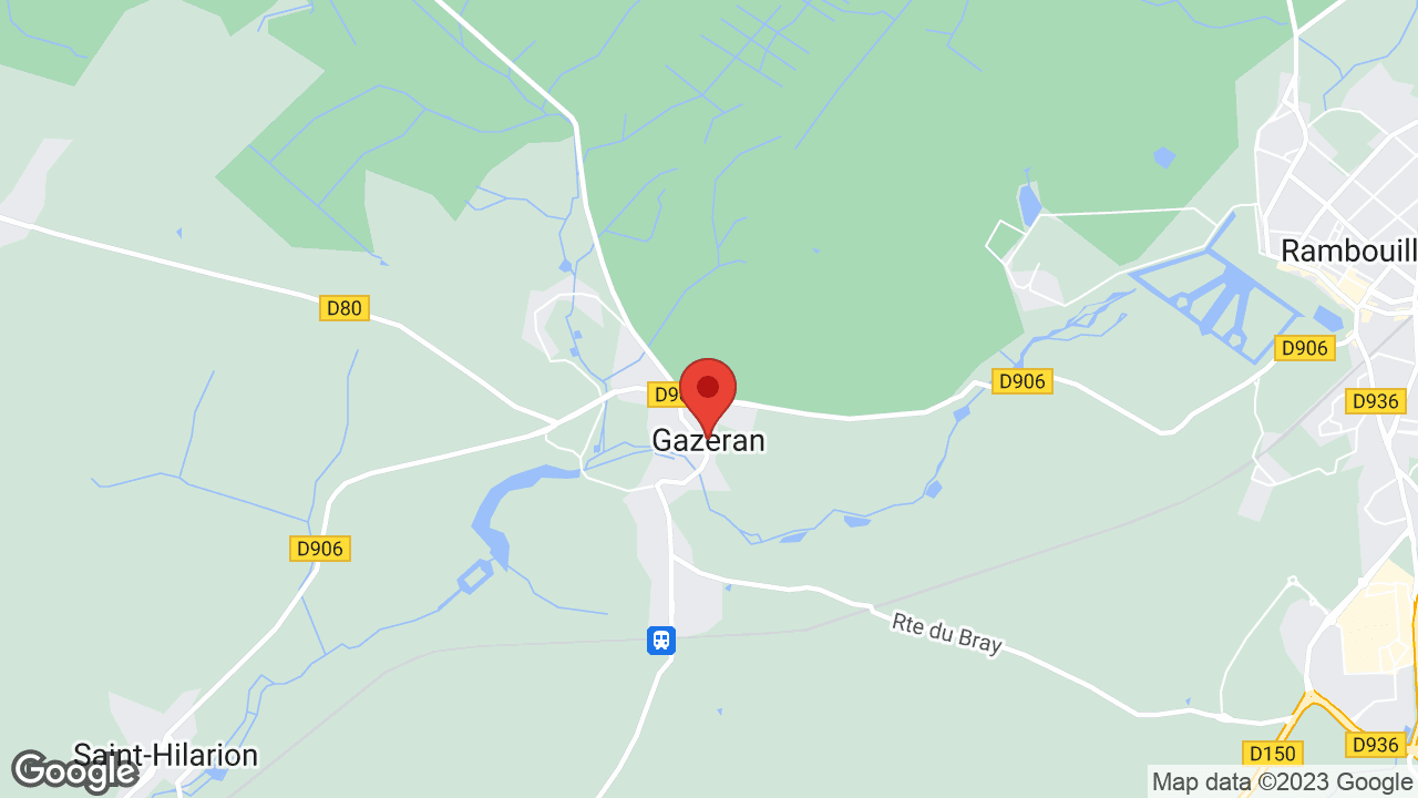 Google map