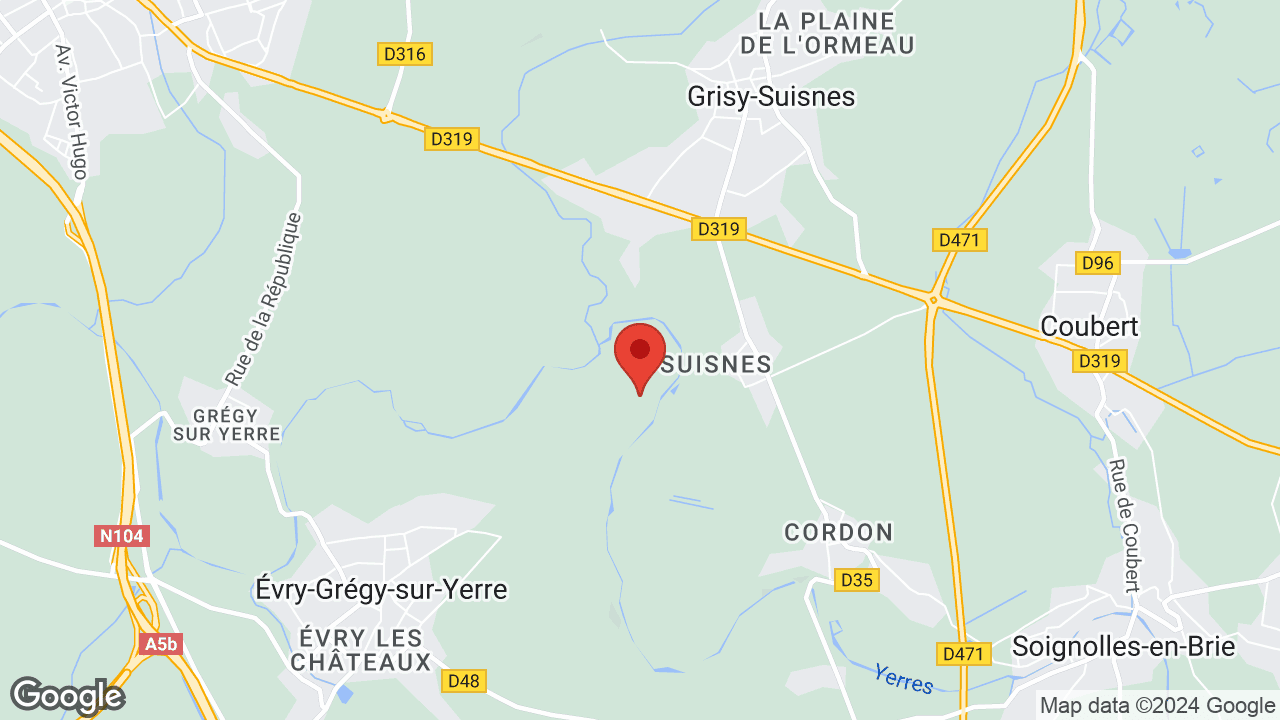 Google map
