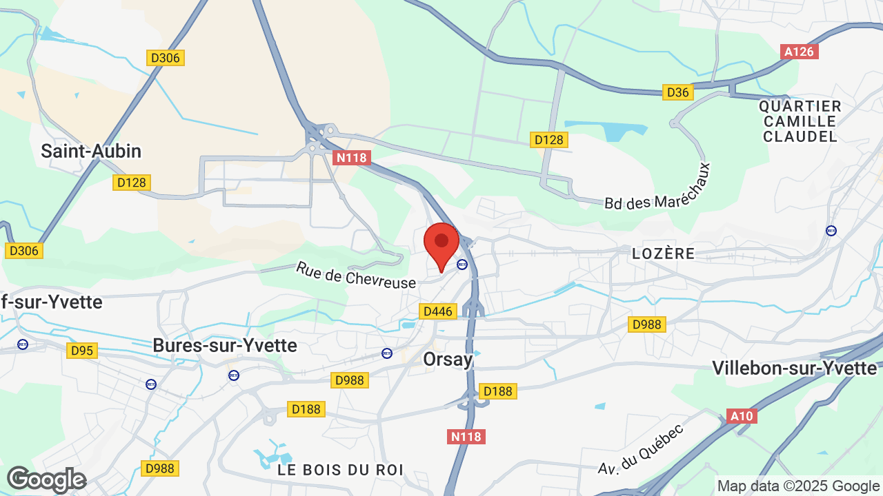 Google map