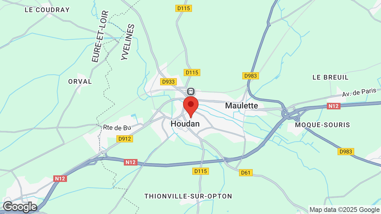 Google map