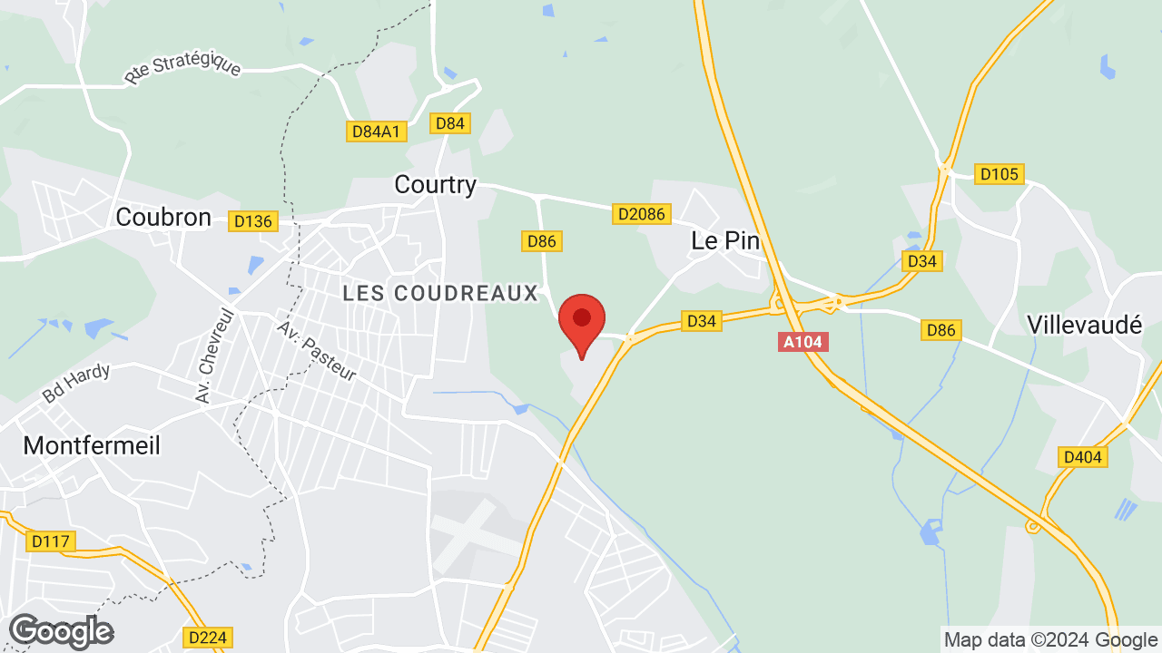 Google map