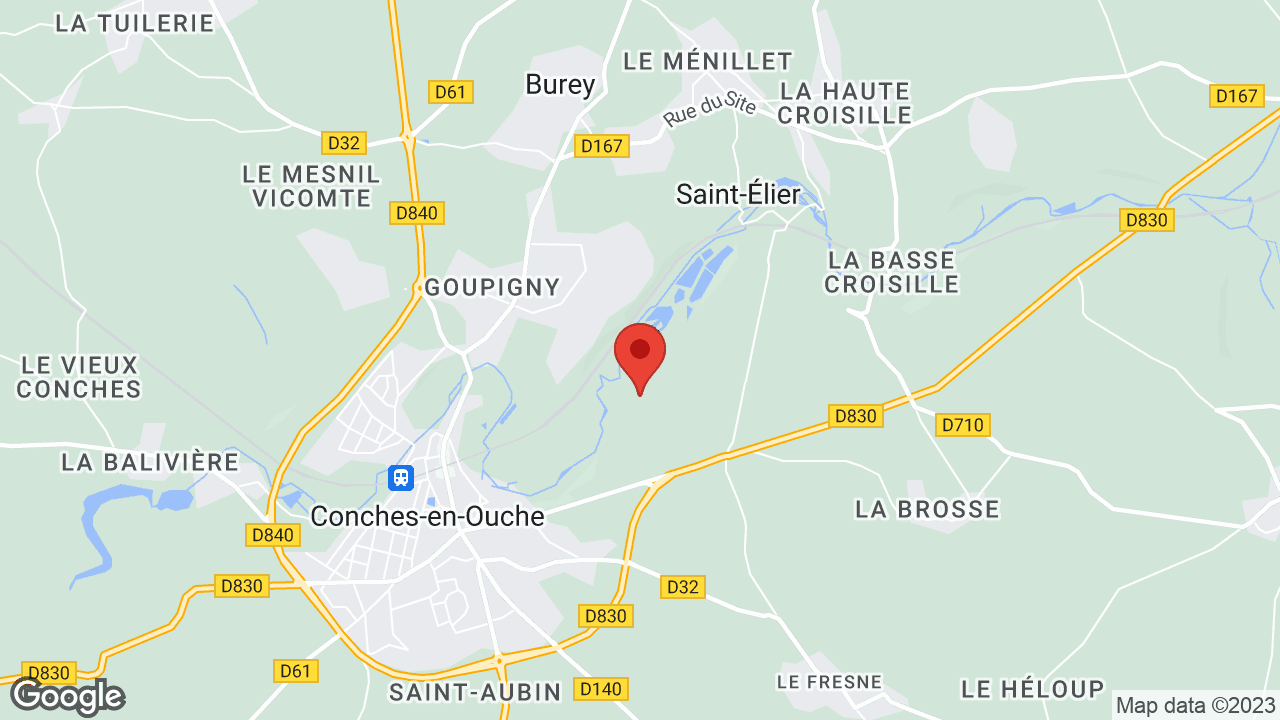 Google map