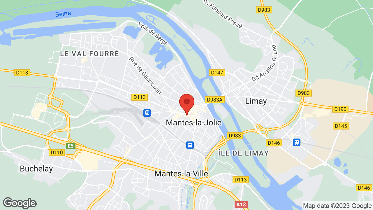 Google map