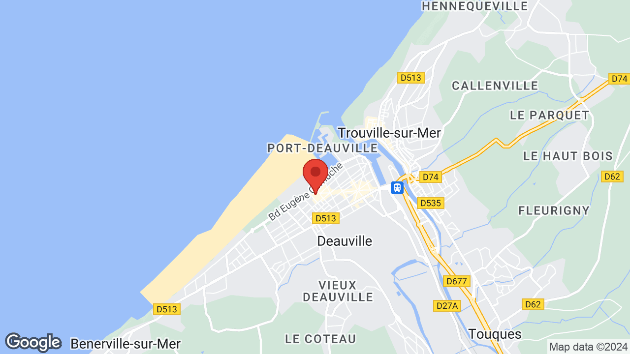 Google map