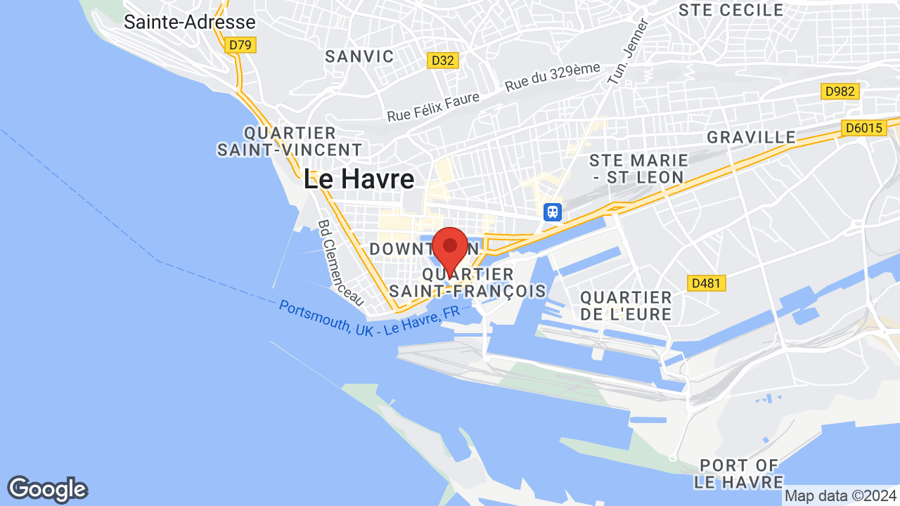 Google map