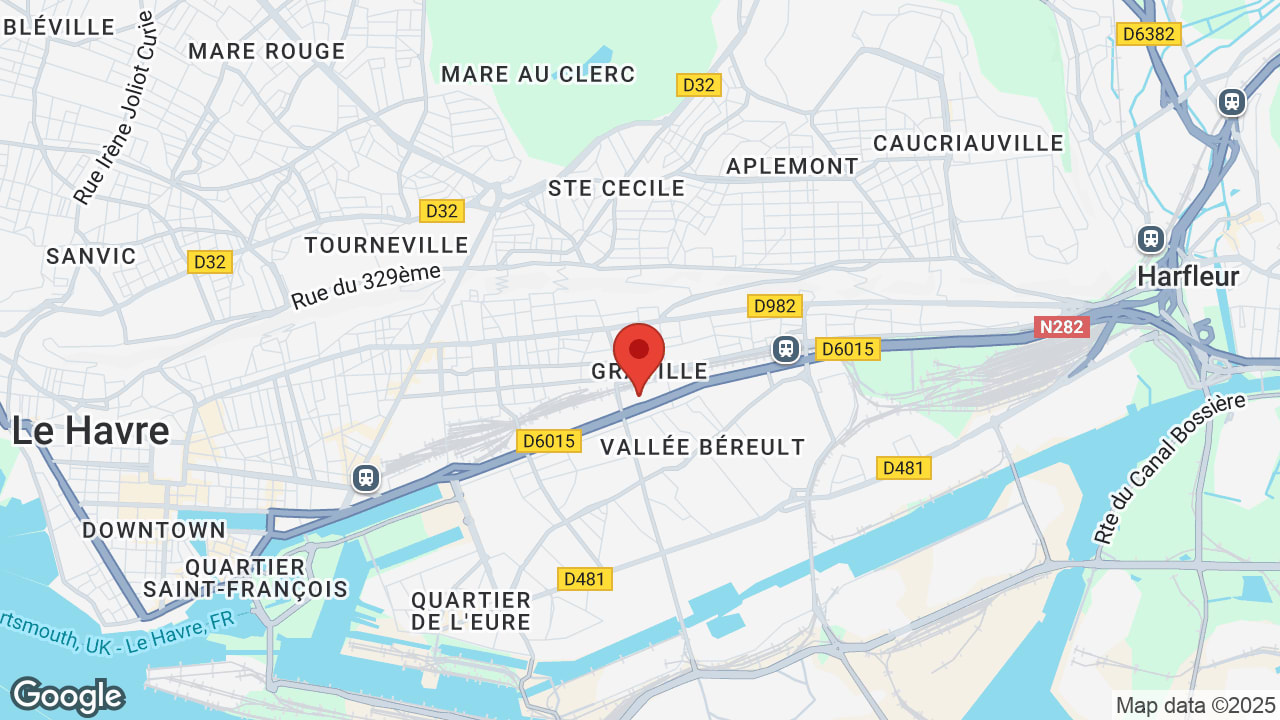 Google map