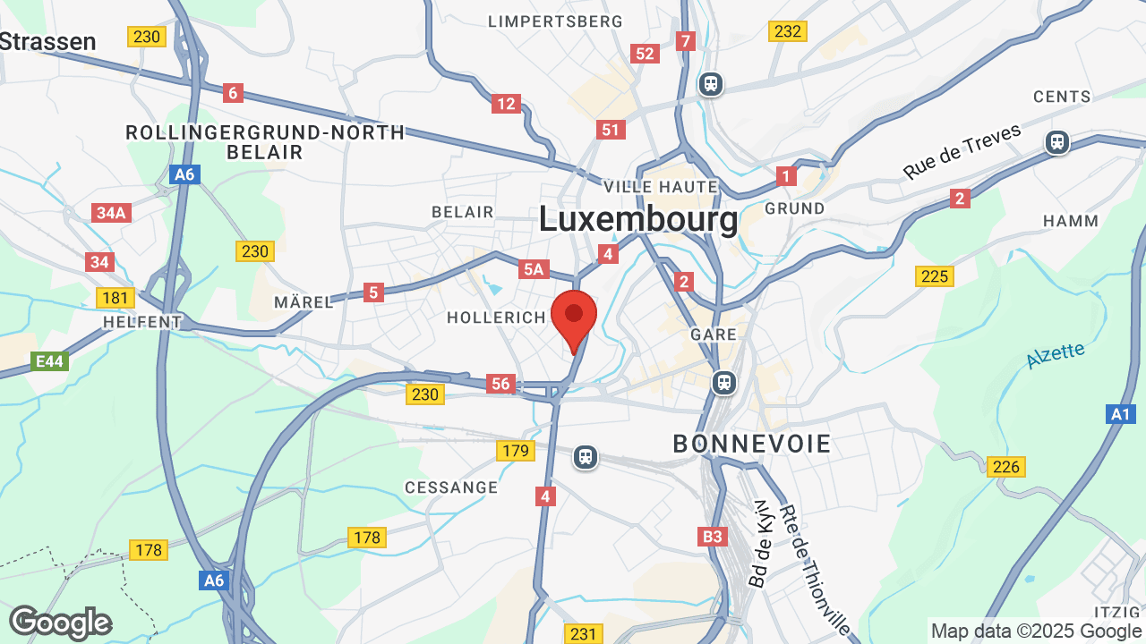 Google map