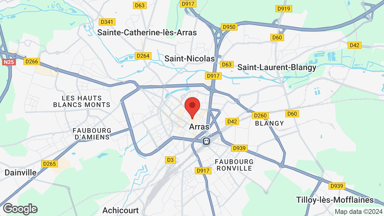 Google map
