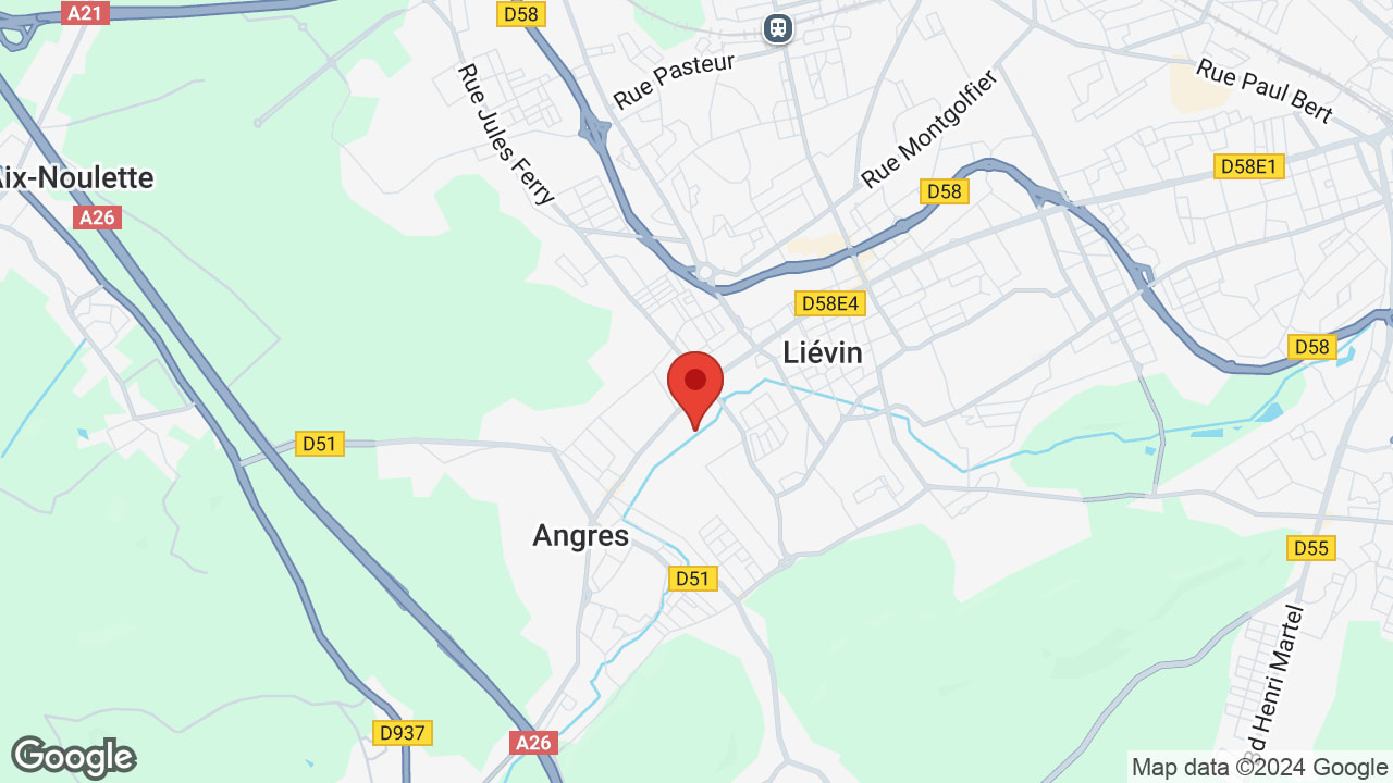 Google map