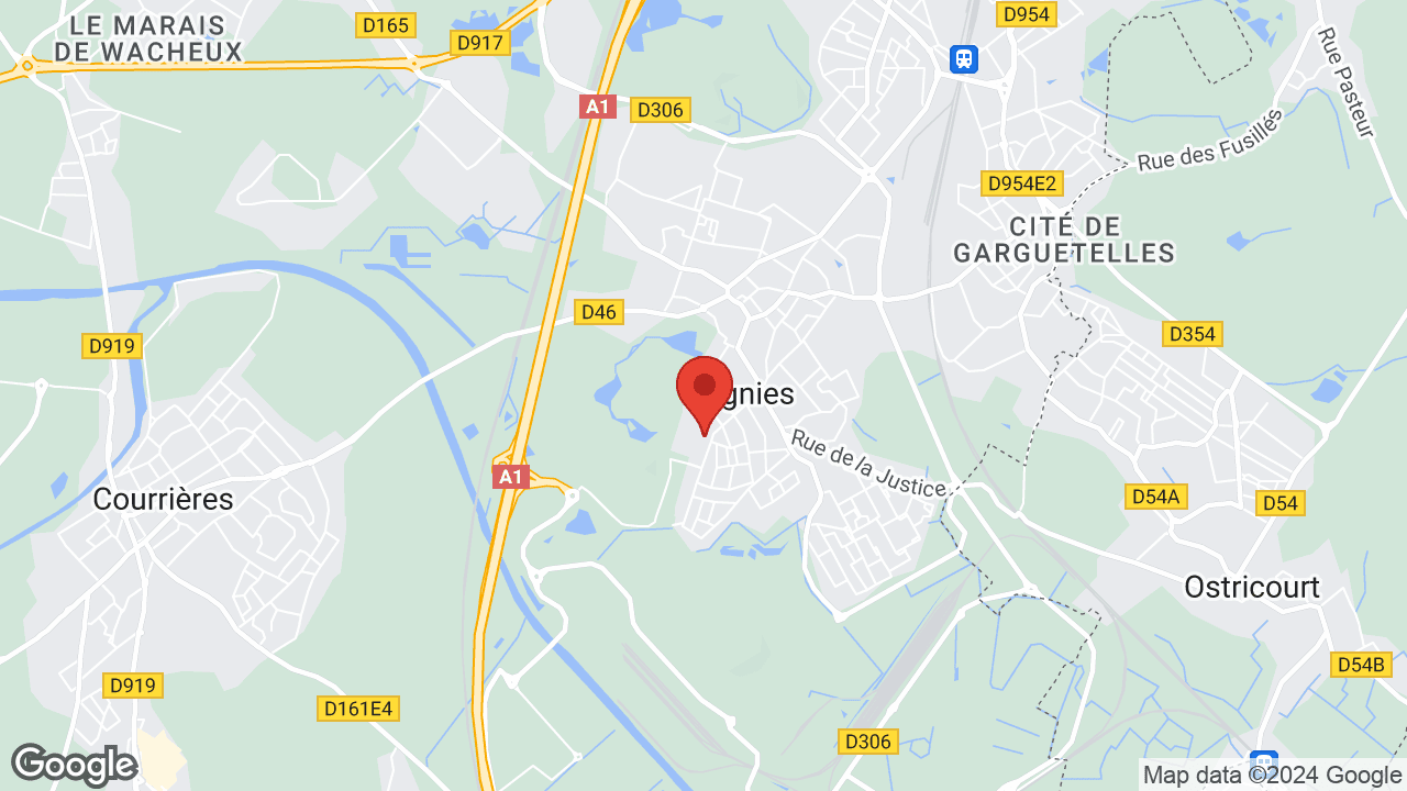 Google map