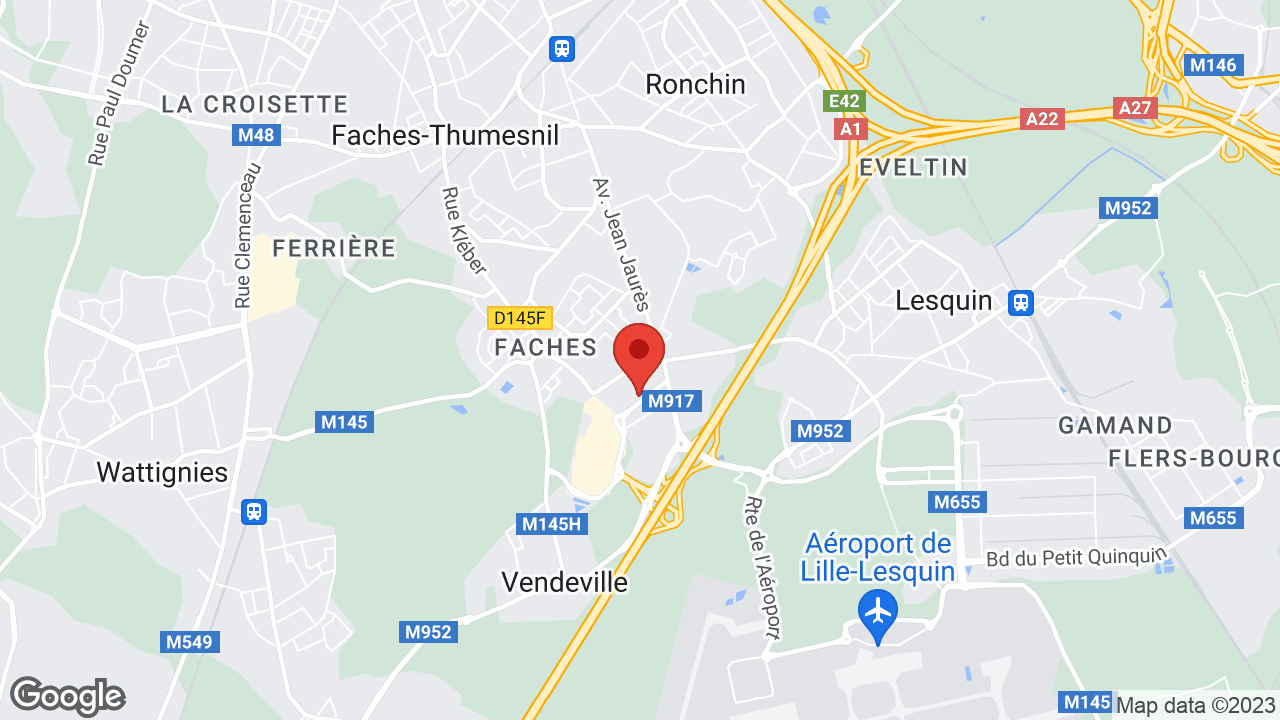 Google map