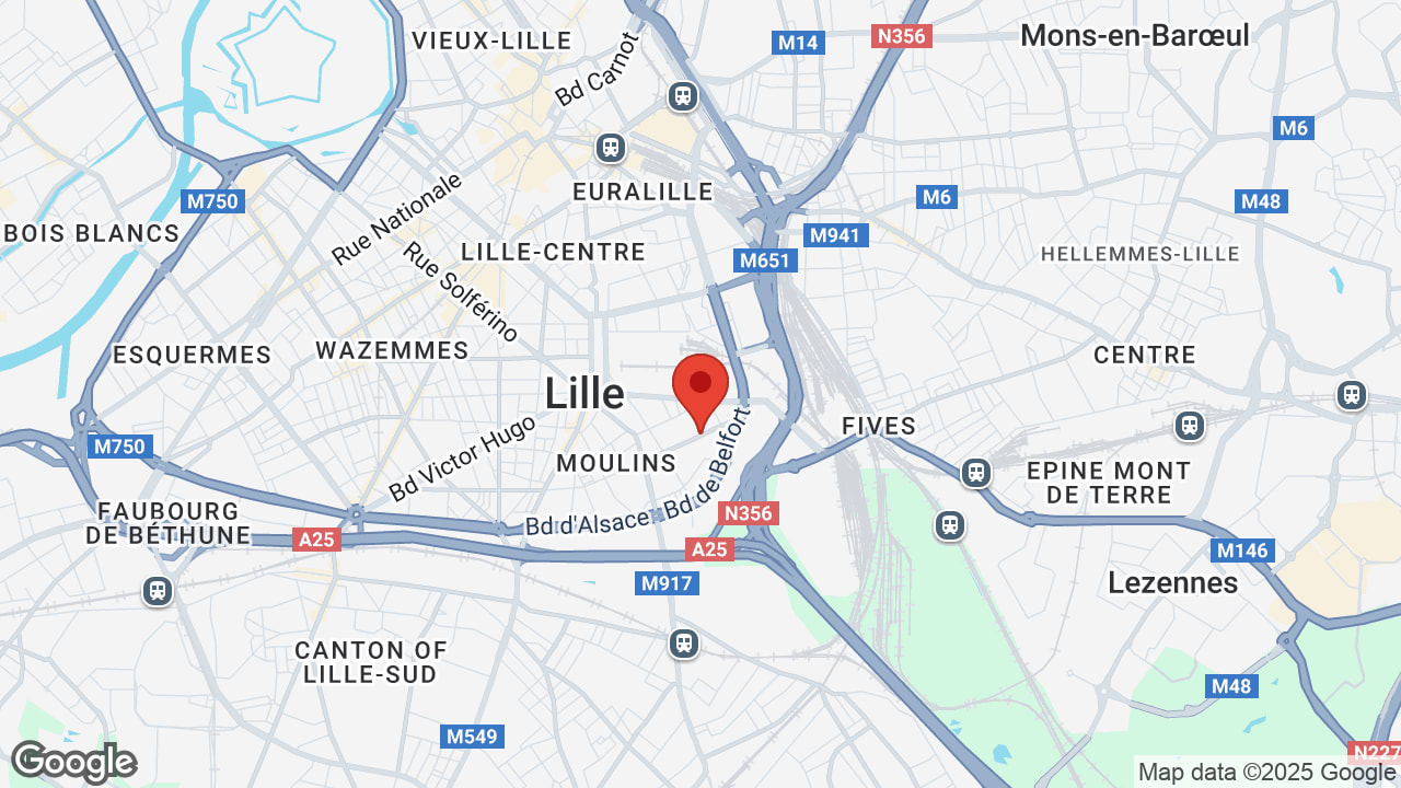 Google map